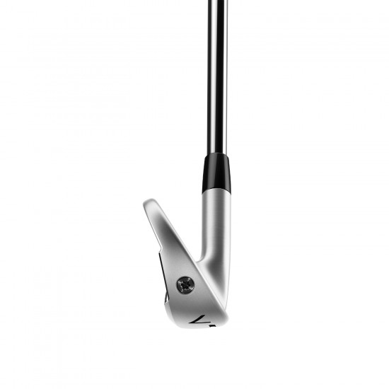 TaylorMade Golf P770 Irons 4 Iron - PW - Regular Flex